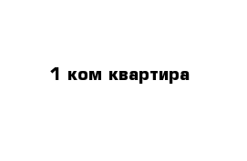 1 ком квартира